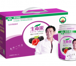 树莓果汁——30%易拉罐